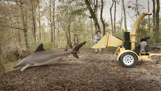 Ozark Sharks - Backdrop