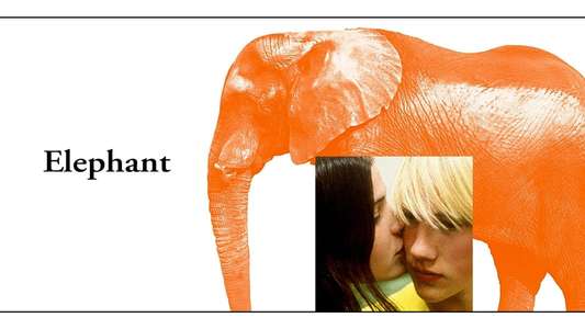 Elephant - Backdrops