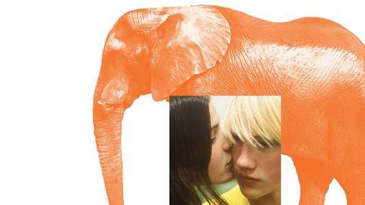 Elephant - Backdrops
