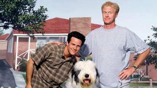 The Shaggy Dog - Backdrop