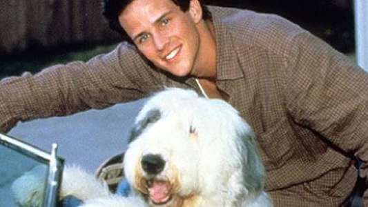 The Shaggy Dog - Backdrop