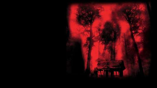 Cabin Fever - Backdrop