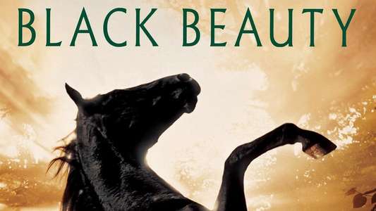 Black Beauty - Backdrop