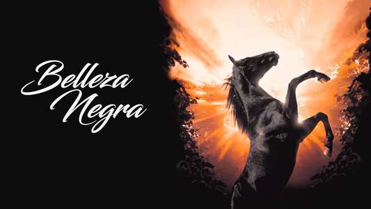 Black Beauty - Backdrop