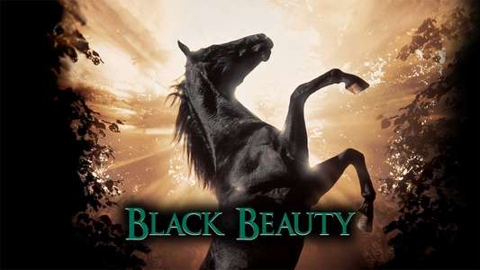 Black Beauty - Backdrop