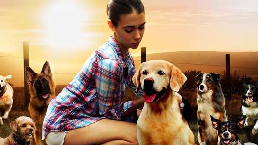 The Dog Lover - Backdrop