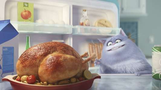 The Secret Life of Pets - Backdrops
