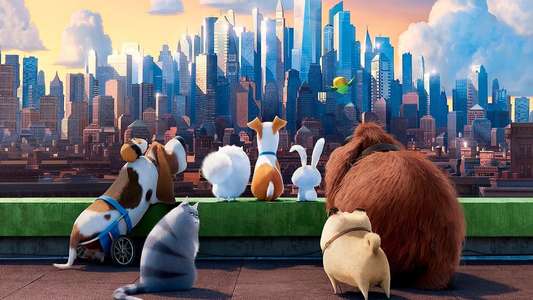 The Secret Life of Pets - Backdrops