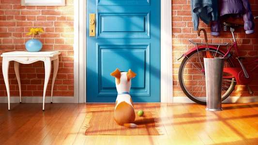 The Secret Life of Pets - Backdrops