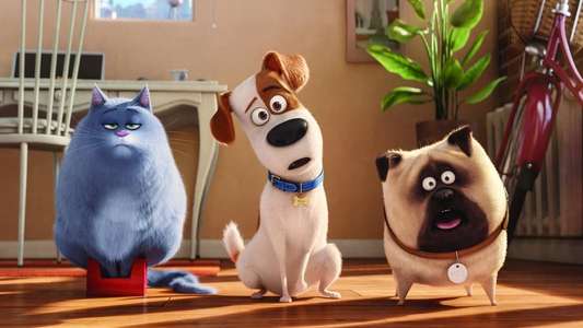 The Secret Life of Pets - Backdrops