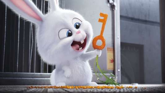 The Secret Life of Pets - Backdrops