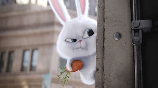 The Secret Life of Pets - Backdrops