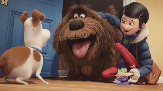 The Secret Life of Pets - Backdrops