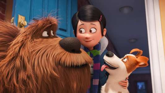 The Secret Life of Pets - Backdrops
