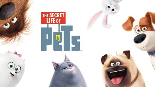 The Secret Life of Pets - Backdrops