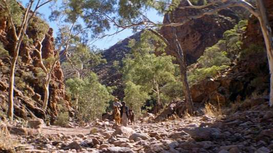 The Tracker - Backdrops