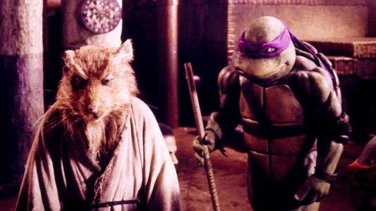 Teenage Mutant Ninja Turtles - Backdrop