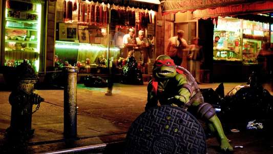 Teenage Mutant Ninja Turtles - Backdrop