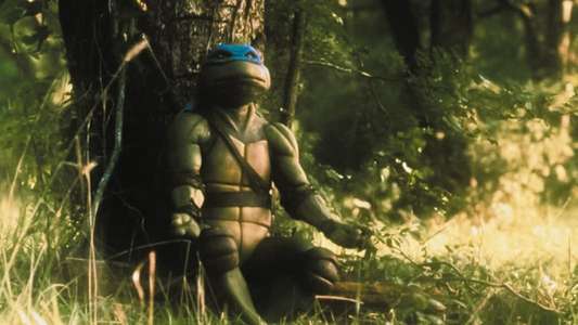 Teenage Mutant Ninja Turtles - Backdrop