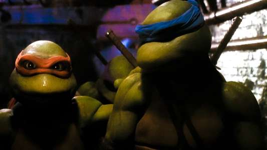 Teenage Mutant Ninja Turtles - Backdrop