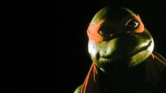 Teenage Mutant Ninja Turtles - Backdrop