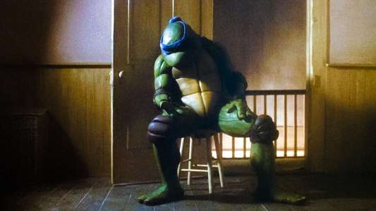Teenage Mutant Ninja Turtles - Backdrop