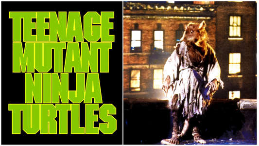 Teenage Mutant Ninja Turtles - Backdrop
