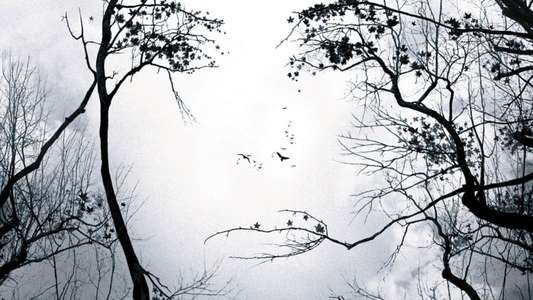 Premonition - Backdrop