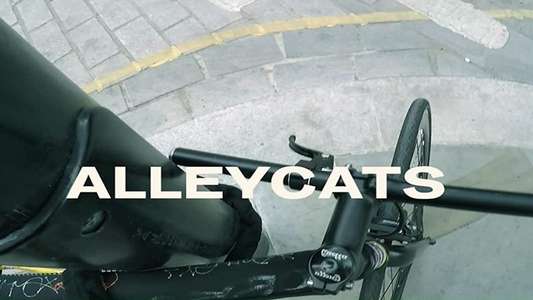 Alleycats - Backdrop