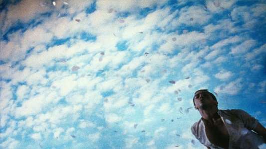 Poison - Backdrop