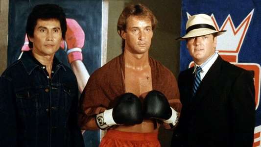 The Fighter - Backdrop
