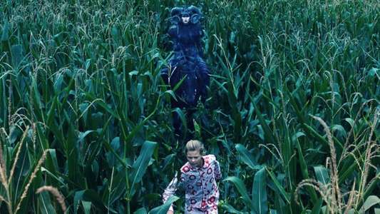 American Fable - Backdrop