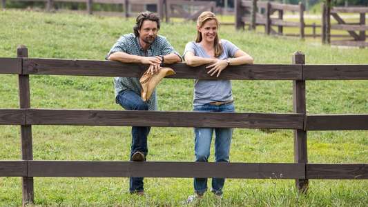 Miracles from Heaven - Backdrop