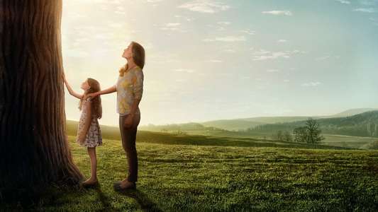 Miracles from Heaven - Backdrop