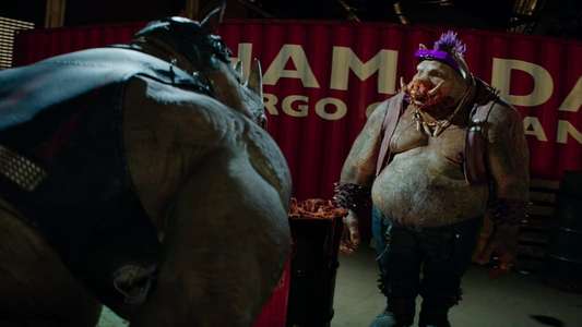 Teenage Mutant Ninja Turtles: Out of the Shadows - Backdrop