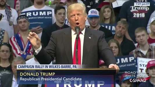 One Nation Under Trump - Backdrop