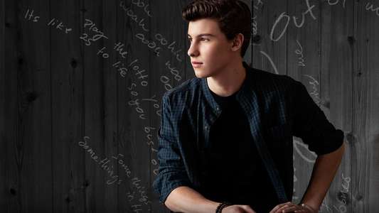 Shawn Mendes: Live at the Greek Theatre - Backdrop