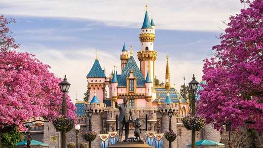 Disneyland 60th Anniversary TV Special - Backdrop