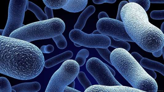 Bacterial World - Backdrops