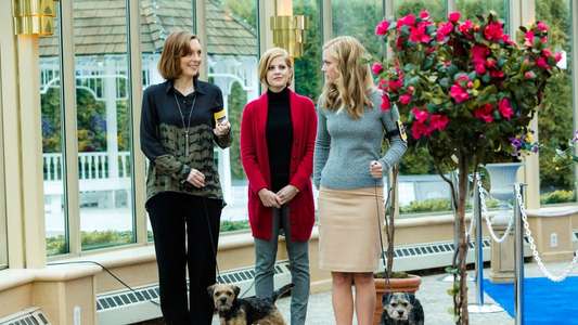 Unleashing Mr. Darcy - Backdrop