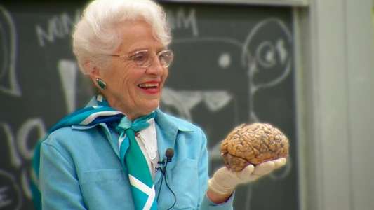 My Love Affair with the Brain - Backdrop