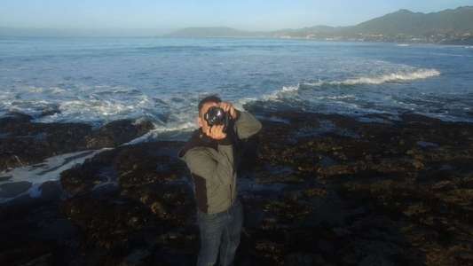 The Ocean - Backdrop
