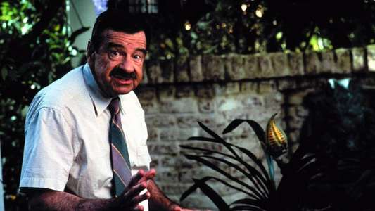 Dennis the Menace - Backdrop