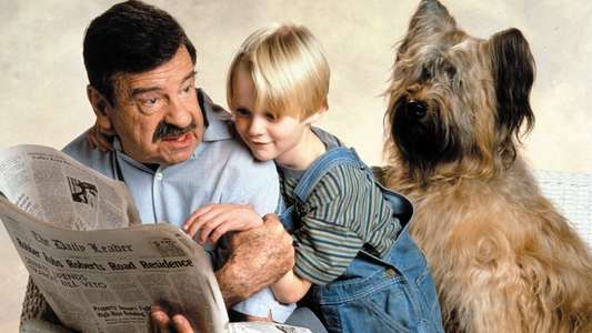 Dennis the Menace - Backdrop