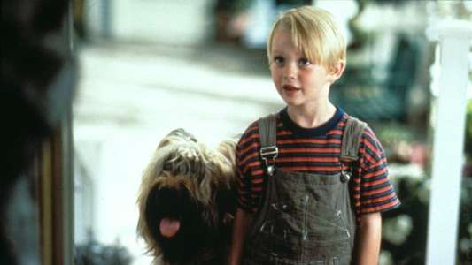 Dennis the Menace - Backdrop
