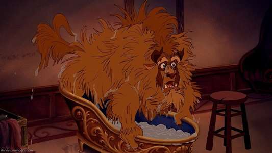 Beauty and the Beast - Backdrops