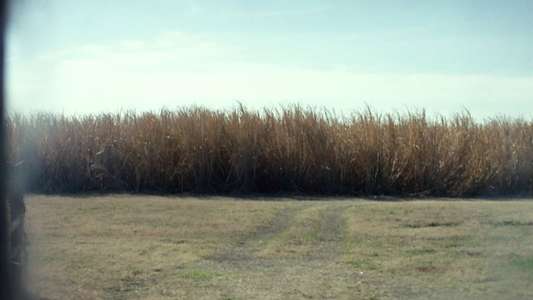 10 Cloverfield Lane - Backdrop