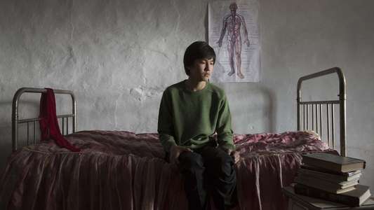 The Wounded Angel - Backdrop
