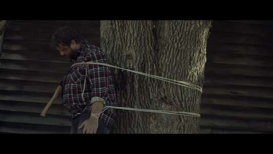 Lurking Woods - Backdrop