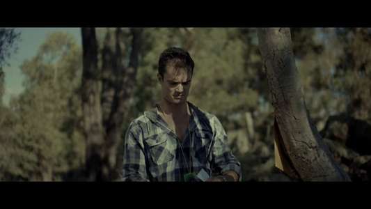 Lurking Woods - Backdrop